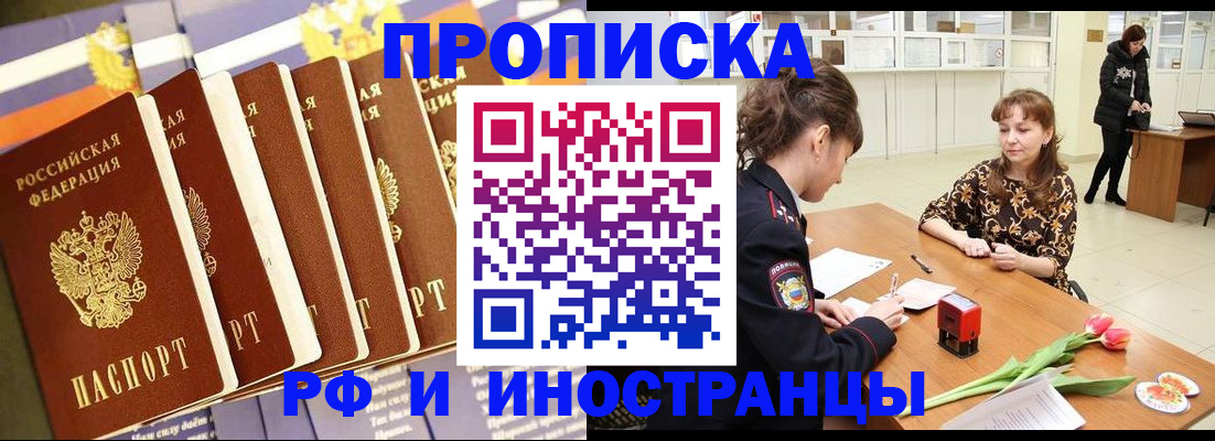 где прописаться в Ельне