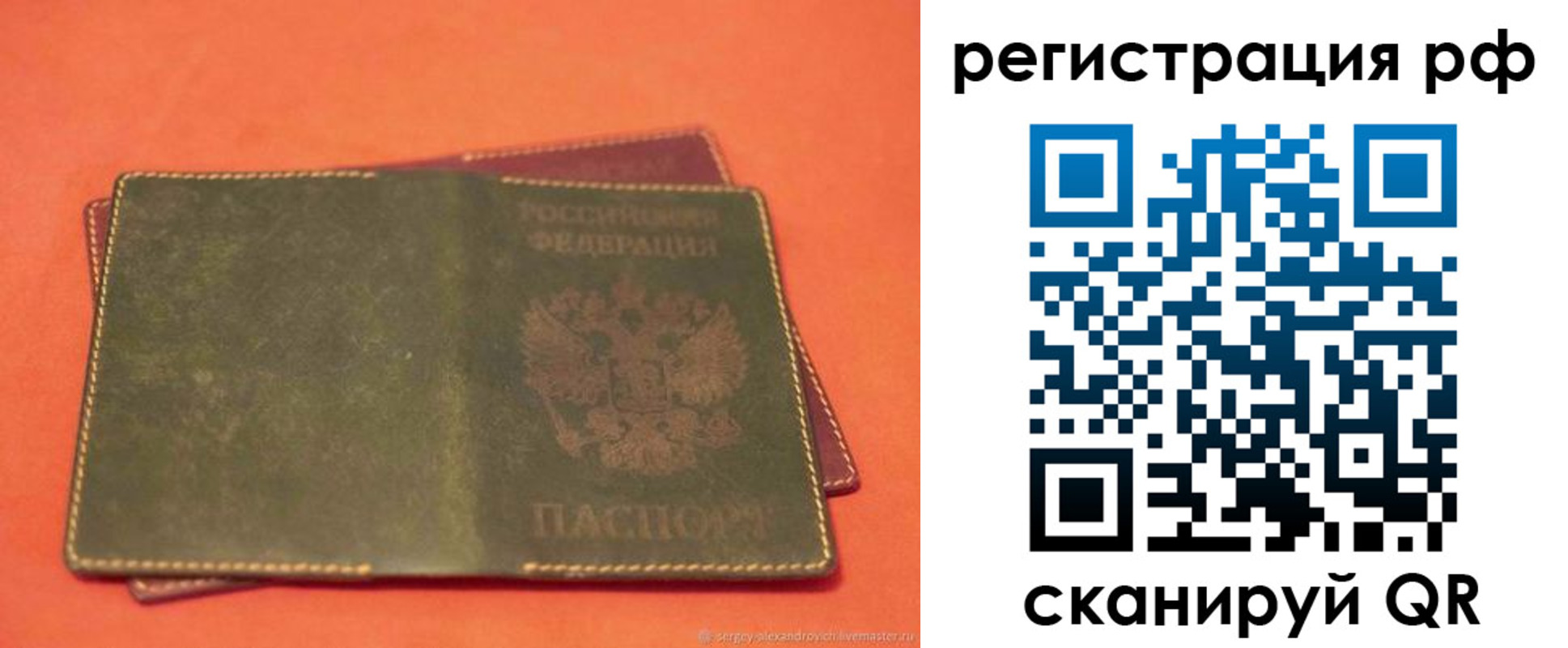 прописка 2025 в Ельне